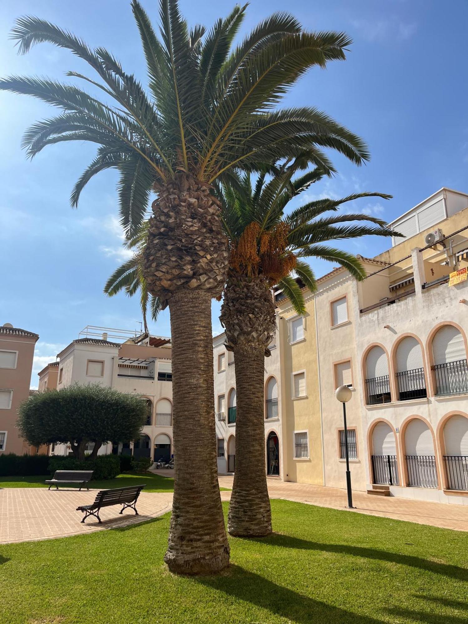 Torrevieja 2 Bedrooms Appartment Zewnętrze zdjęcie