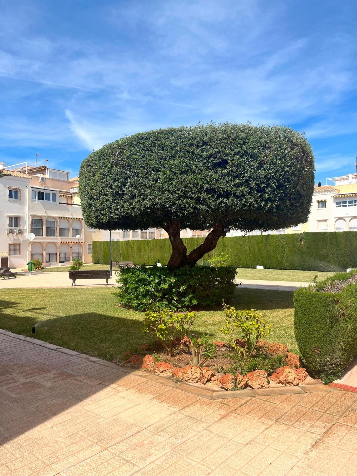 Torrevieja 2 Bedrooms Appartment Zewnętrze zdjęcie